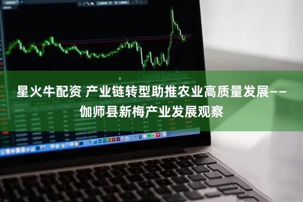 星火牛配资 产业链转型助推农业高质量发展——伽师县新梅产业发展观察