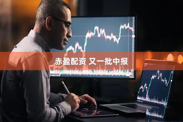 赤盈配资 又一批中报