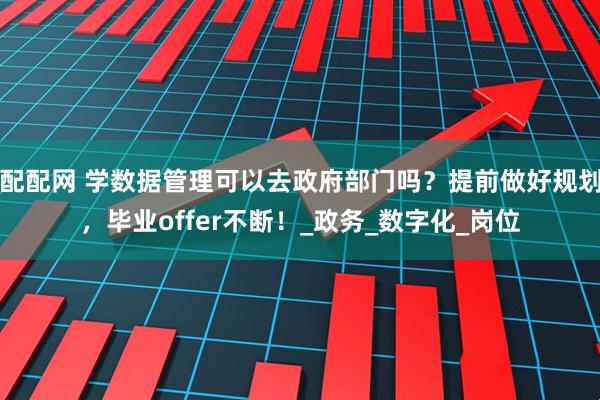 配配网 学数据管理可以去政府部门吗？提前做好规划，毕业offer不断！_政务_数字化_岗位