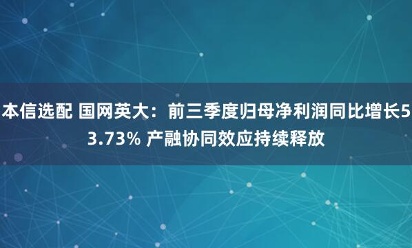 本信选配 国网英大：前三季度归母净利润同比增长53.73% 产融协同效应持续释放
